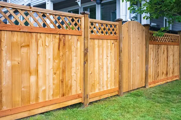 Backyard Fencing